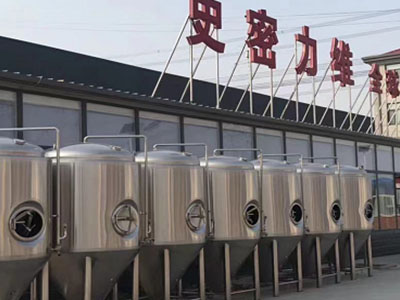 普兰精酿啤酒设备厂—如何判断精酿啤酒设备的密封件需要更换？
